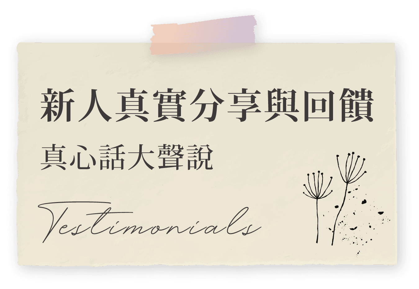新人分享回饋